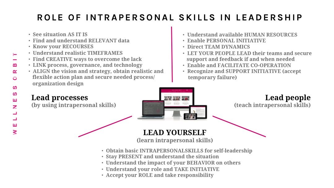 Intrapersonal skills in work and leadership context