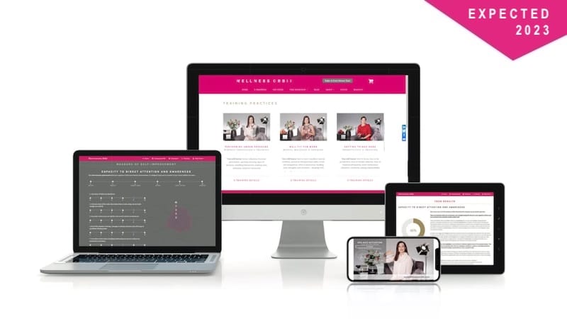 Mental wellness online training Mental wellness online training