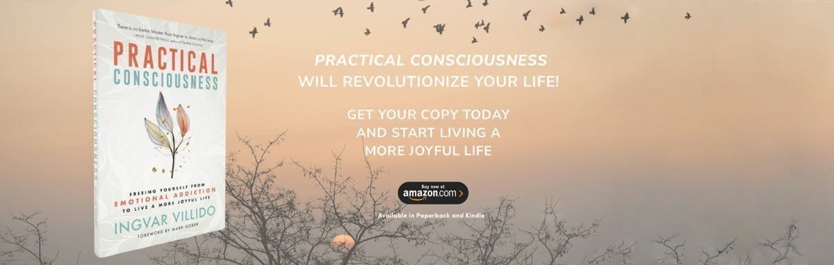 Practical Consciousness: Freeing Yourself from Emotional Addiction to Live a More Joyful Life’ by Ingvar Villido