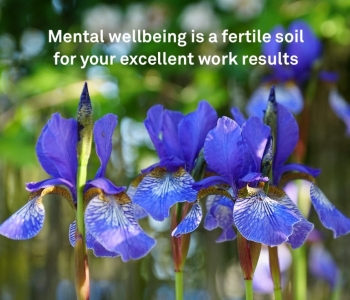 Mental wellness as an excellent investment