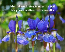 Mental wellness as an excellent investment